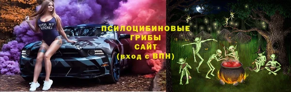сатива Протвино